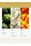 Bonbori Fragrance Oil - for Essential Oil Diffusers - Bergamot, Jasmine, & Rose - 120 mL - 3