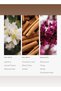 Sweet Caroline Fragrance Diffuser Oil - Valencia Zest, Black Clove, & Santal - 500 mL, 16.9 fl oz - 2