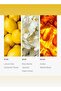 Mandarin Pro-Pod Diffuser Oil - Citron, Jasmine, & Bamboo - 50 mL - 4