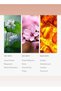 Miami Heat - Heat Elite Fragrance Diffuser Oil - Mandarin, Peach & Patchouli - 500 mL, 16.9 fl oz - 3