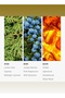 Sakura Fragrance Oil for Essential Oil Diffusers - Lemon Zest, Juniper Berries, & Agarwood - 50 mL - 3