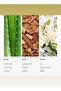 Dream On Fragrance Oil for Essential Oil Diffusers - White Tea, Cedar, & Aloe Vera - 500 mL - 3