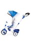 Perfect Fit 4-in-1 Trike (Blue)