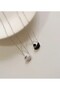 Swan Silver Color Steel Necklace - 3