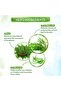 Tea Tree Facewash for Acne & Pimples, Oil Control & Clear Skin, Deep Cleansing – 100 ml - 2