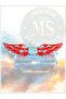Set of 2 Wing Stickers - Car Auto Sticker |   Waterproof & Durable 8X20 cm - 2
