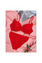 Women's Padded Thick Striped Bra Set - 3