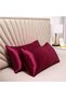 Curly and Straight Hair Satin Pillowcase Clasp Premium Skin Care Beauty Cosmetic Set - 2