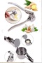 Garlic Mixer Stainless Steel; Luxury Garlic Mixer - 4