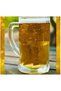 2 Pieces 500 Cc. Argentina Handle Glass Pub Beer Glass - 3
