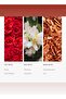 Kiss By a Rose Pro-Pod Diffuser Oil - Rose, Mimosa, & Jasmine - 50 mL, 1.7 fl oz - 4
