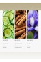 Summer Breeze Fragrance Diffuser Oil - Cucumber, Melon, & Violet - 500 mL, 16.9 fl oz - 4