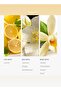 Nirvana Fragrance Diffuser Oil - Jasmine, Ginger, & Vanilla - 500 mL, 16.9 fl oz - 4