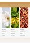 Little White Lies Fragrance Diffuser Oil - White Tea, Thyme, & Vetiver - 500 mL, 16.9 fl oz - 4