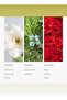 London Calling Fragrance Diffuser Oil - White Tea, Cedarwood & Soku Lime - 120 mL, 4.1 fl oz - 3