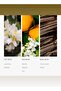 Blue Fragrance Diffuser Oil - Amber, Santal, Iris & Out Wood - 120 mL, 4.1 fl oz - 4