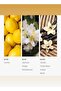 Utopia Fragrance Oil - for Essential Oil Diffusers - Lemon, Jasmine & Tonka Bean - 200 mL - 2
