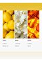 Cabana Fragrance Oil - for Essential Oil Diffusers - Marine, Bergamot & Jasmine - 50 mL - 4