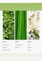 California Love Fragrance Oil for Essential Oil Diffusers - Green Tea, Lemongrass, & Lily - 500 mL - 3