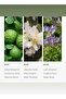 Serpentine Fragrance Oil - for Essential Oil Diffusers - Bergamot, Citrus & Green Tea - 500 mL - 2