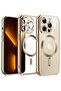 ip 15 pro max gold edition case - 3