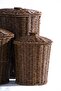 Nomad 3-Piece Lidded Wicker Basket Set - 3