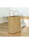 Kraft Cardboard Bag Battal Size Twist Handle 25 Pieces 45X12X50 cm