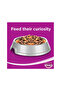 Chicken Flavour Adult Dry Cat Food - 1.2 Kg - 2