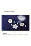 Wide Brim Foldable and Breathable Women Hat Sun Protection,,Summer Beach Holiday Outdoor - 4
