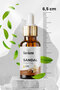 Sandal Oil Natural Sandalwood 10ml - 2