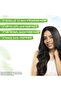 Rosemary Anti-Hairfall Conditioner with Biotin & Coconut for Strong Hair & Less Breakage – 250 ml - 7