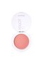 Touch It Powder Blush 528 Playful - 2