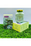 Kianpi Ginseng Pil For Weight Gain, Muscles And Strength By Top Choice - 2