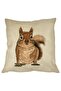 Squirrel Pillowcase, 40x40 Cm