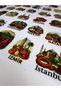81 Provincial Themed Turkey Sticker Set (4 Sheets) – Travel, Agenda, Suitcase and Laptop Sticker - 4