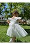 Girls' Baby Zero Sleeve Snowy Elsa Tulle Birthday Wedding Party Special Day Holiday Dress - 5