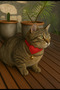 Kedi Tasması Kalpli - 3