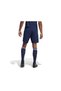 Men's Running Quick Dry Micropoly Training Astroturf Fitness Casual Outdoor Sports Shorts - 3