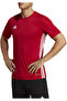Men's Training T-shirt Suitable for Daily Use and Sports Comfortable Plain T-shirt