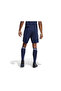 Tiro 23 Sho Men's Shorts IB8081 Navy Blue - 3