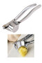 Garlic Mixer Stainless Steel; Luxury Garlic Mixer - 3