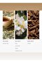Gracel& Pro-Pod Diffuser Oil - White Tea, Fig, & Rose - 50 mL, 1.7 fl oz - 4