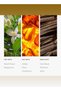 Purple Fragrance Diffuser Oil - Neroli Flower, Peppercorn, Cardamom & Patchouli - 120 mL, 4.1 fl oz - 4