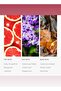 Red Fragrance Diffuser Oil - Ruby Grapefruit, Heliotrope Petals, Amber & Sea Moss - 50 mL - 4