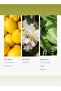 The Bliss Pro-Pod Diffuser Oil - Lemon Zest, Bergamot, & Jasmine - 50 mL, 1.7 fl oz - 5