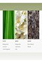 24K Magic Fragrance Oil for Essential Oil Diffusers - Bergamot, Lemon, & Lemongrass - 200 mL - 4