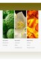 Allure Fragrance Diffuser Oil - Bergamot, Jasmine, & Rose - 120 mL, 4.1 fl oz - 4