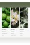 Ch&elier Fragrance Diffuser Oil - Bergamot, Sweet Berry, & Oakmoss - 120 mL, 4.1 fl oz - 4