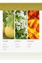 Car Diffuser Oil - Escapade- Car Air Freshener Cartridge - Ozone, Jasmine & Black Pepper - 4