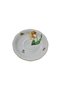 734 Hand Painting Porcelain Tea Cup Saucer (003)